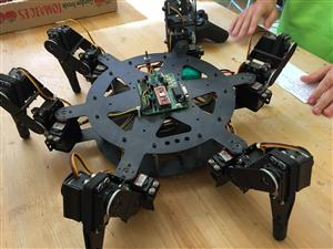 Hexapod Robot 