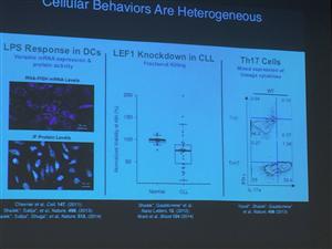 Cellular Behaviors 